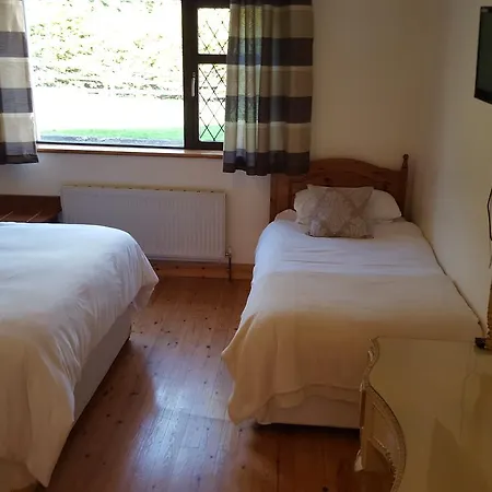 Bed and Breakfast Ely House Shannonbridge