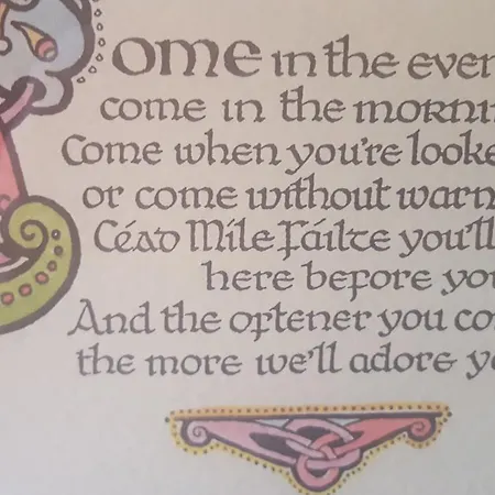 Bed and Breakfast Ely House Shannonbridge