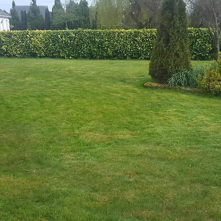 Ely House Bed and Breakfast 3*