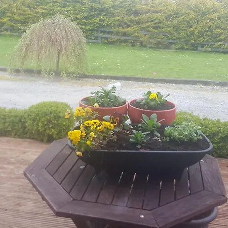 Ely House Bed and Breakfast