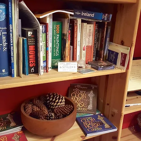 ベッド・アンド・ブレックファスト Ely House Shannonbridge