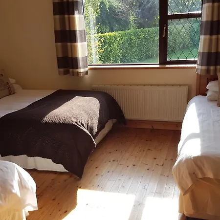 Ely House Bed and Breakfast Shannonbridge