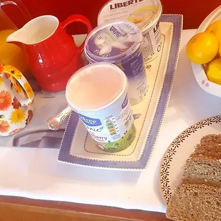 住宿加早餐酒店 Ely House