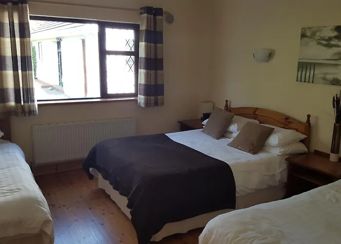 Ely House Couette-café Shannonbridge