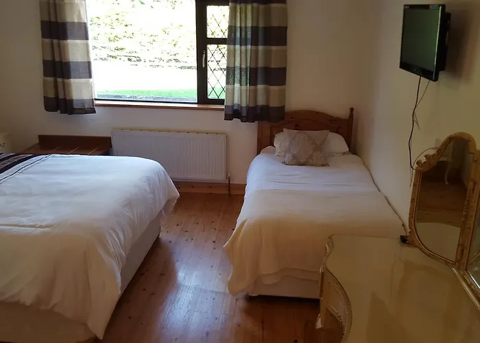 B&B Ely House Shannonbridge