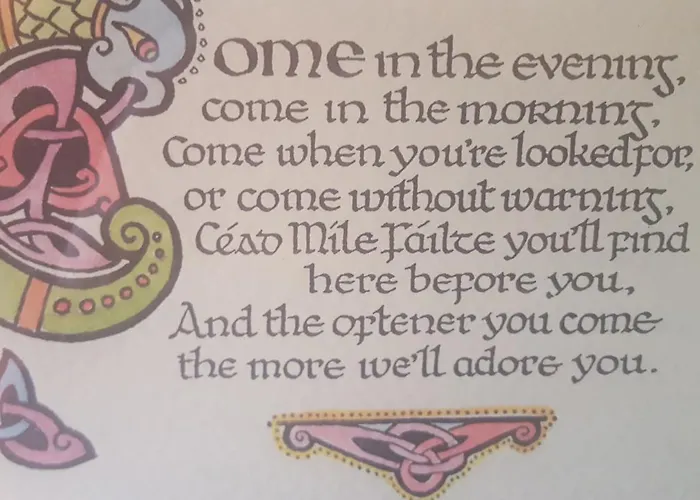 Couette-café Ely House Shannonbridge