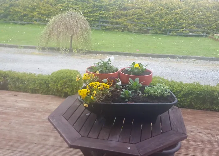 Ely House Oda ve Kahvaltı