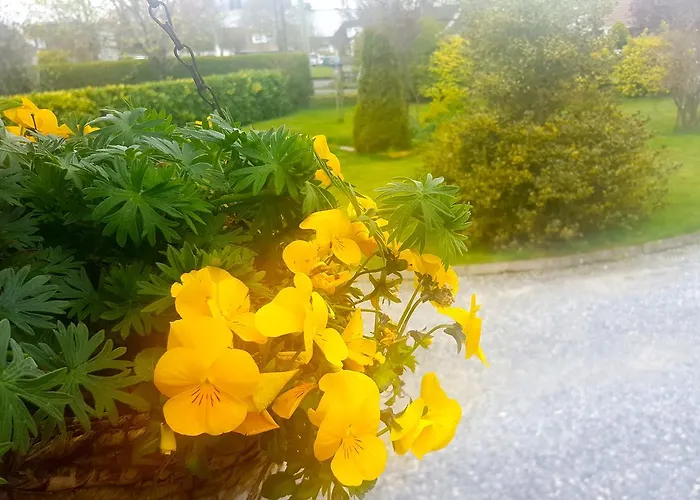 Oda ve Kahvaltı Ely House