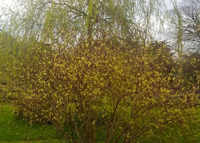 Couette-café Ely House 3*