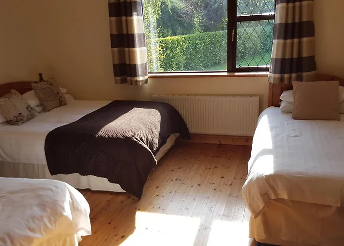 Ely House Couette-café Shannonbridge