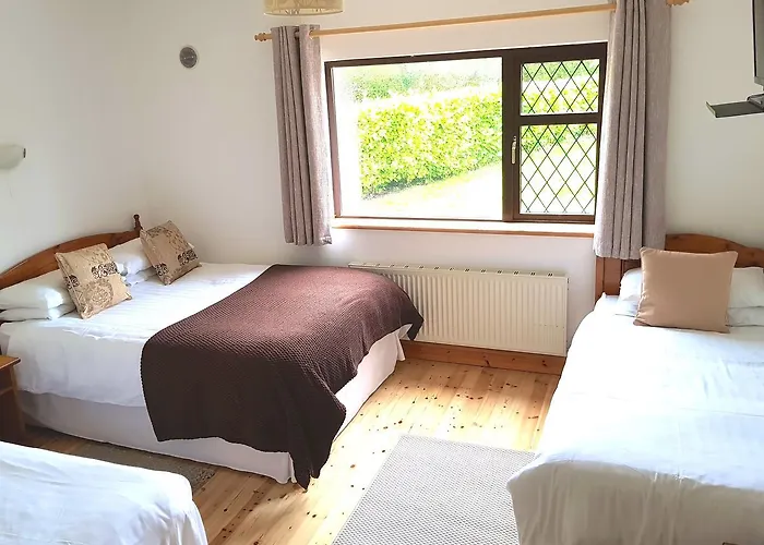 Ely House B&B Shannonbridge